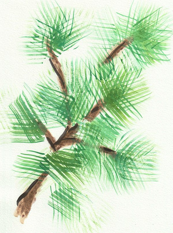 pine needles