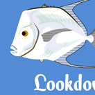 Lookdown fish ID
