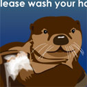 hand-washing otter
