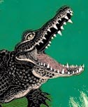 Alligator illustration for Brevard Zoo in Florida