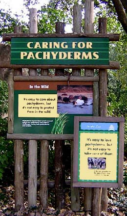 Pachyderm advance organizer